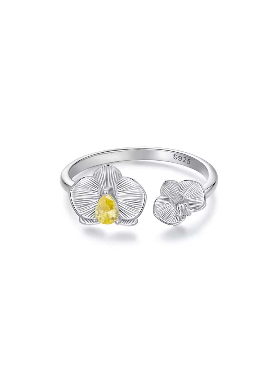 Anillo Liria