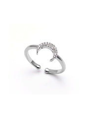 Anillo Luna