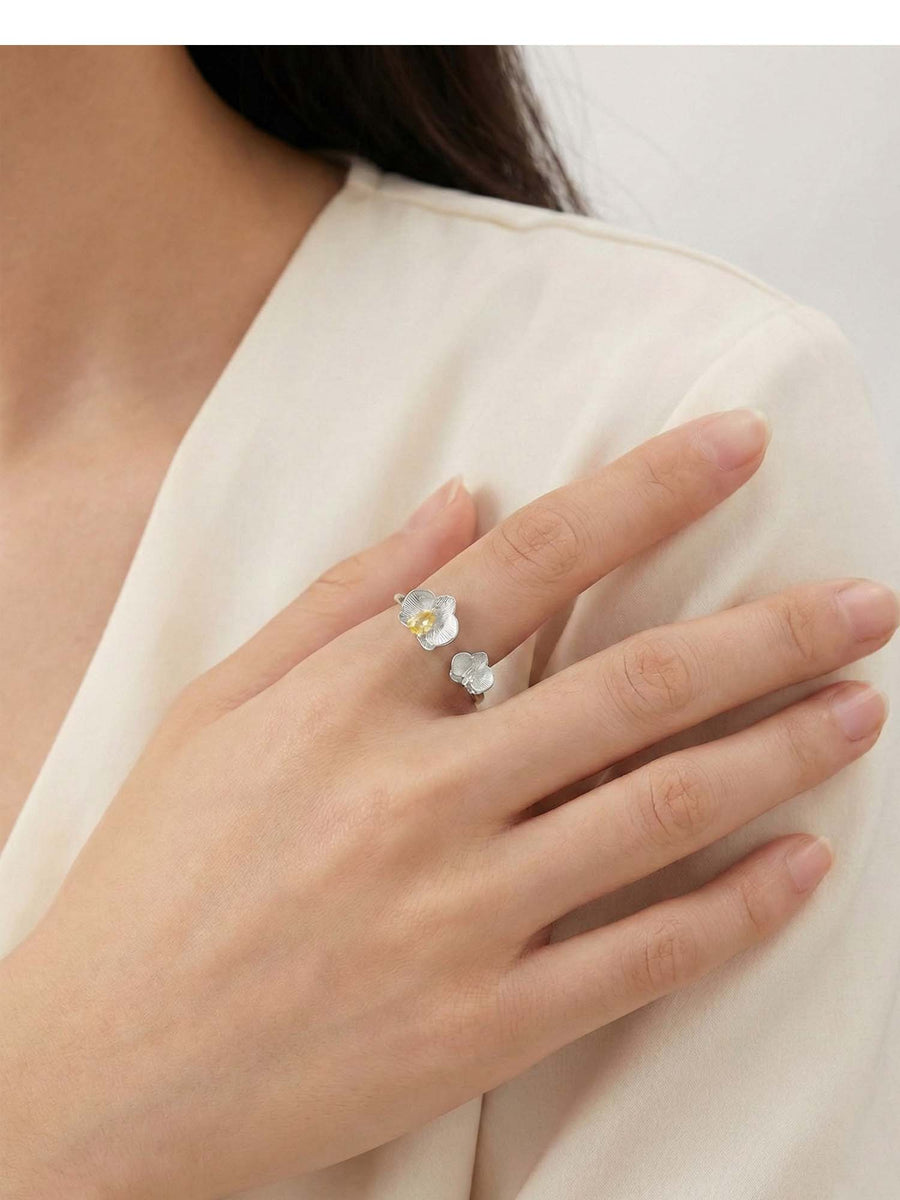 Anillo Liria