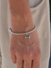 Charm Teckel