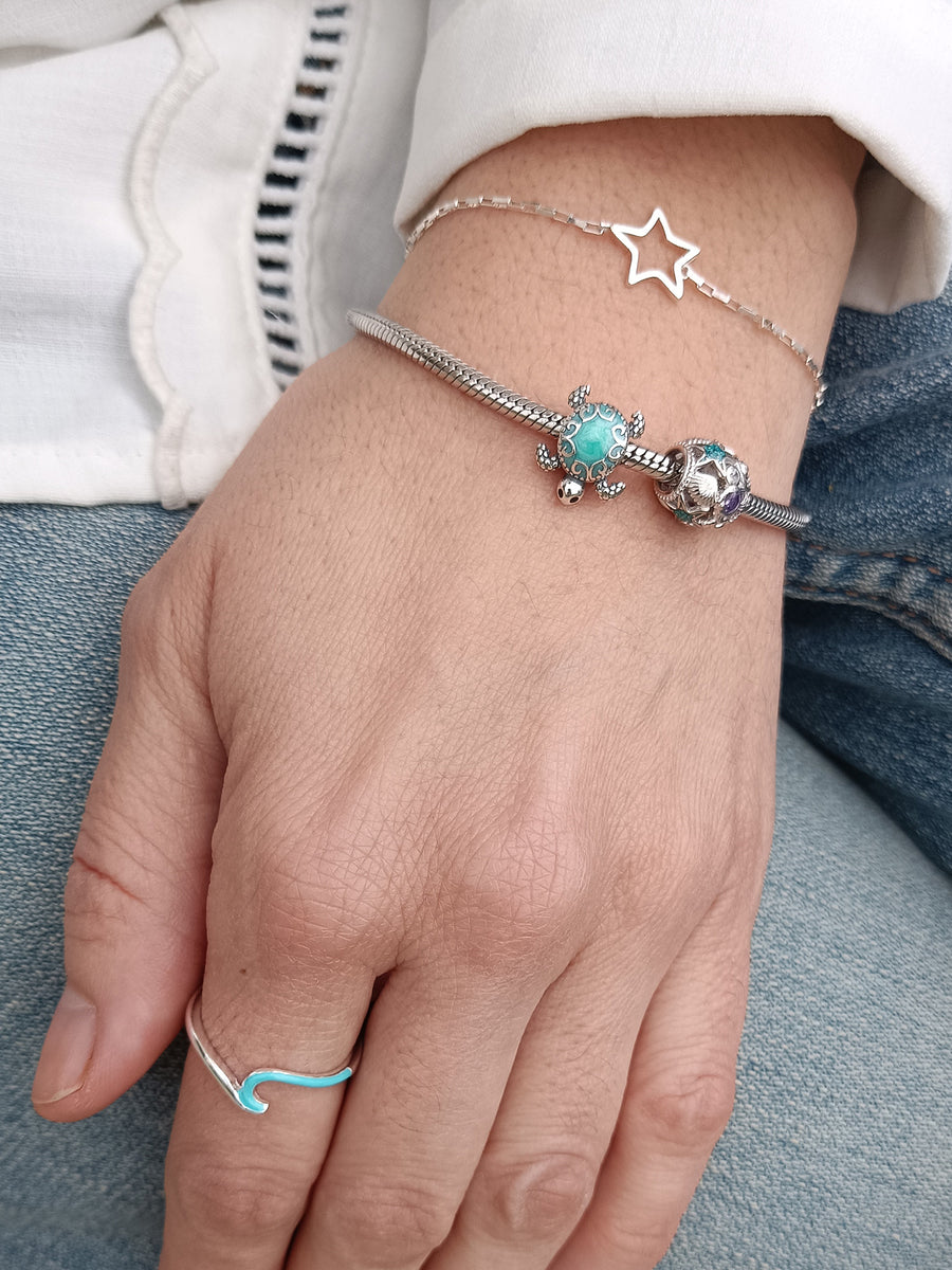 Charm Turtle