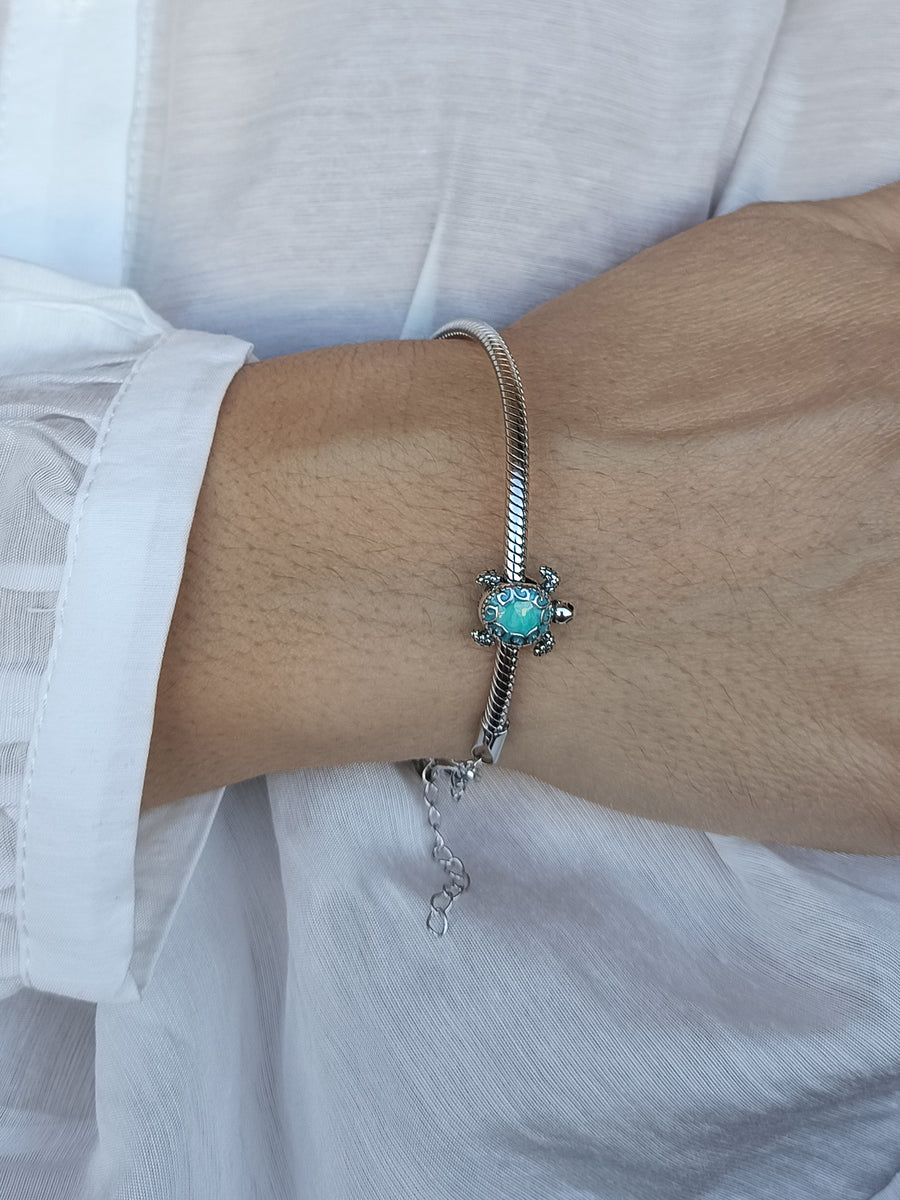 Charm Turtle