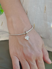 Charm Aurelia
