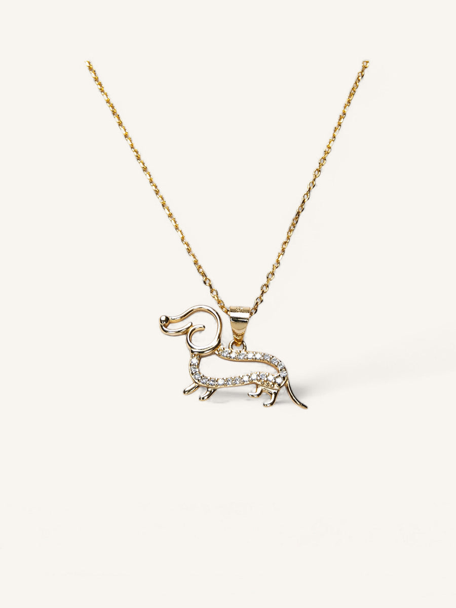 Collar Teckel