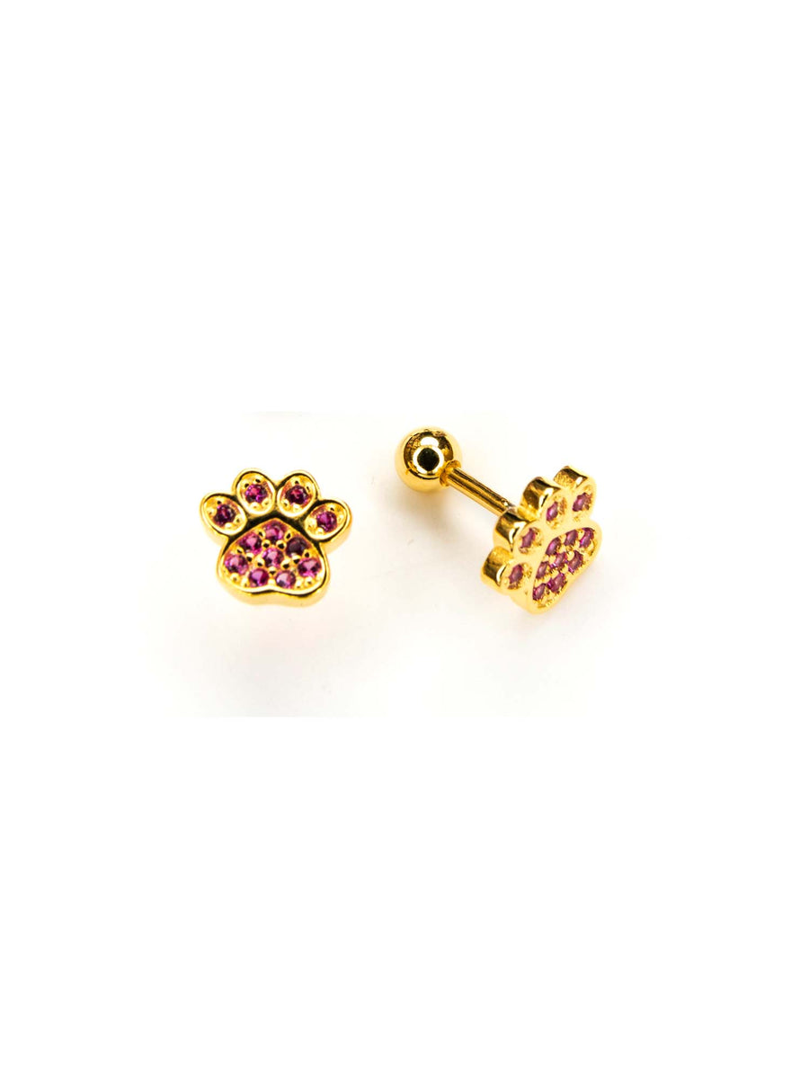 Pendientes Pawsy