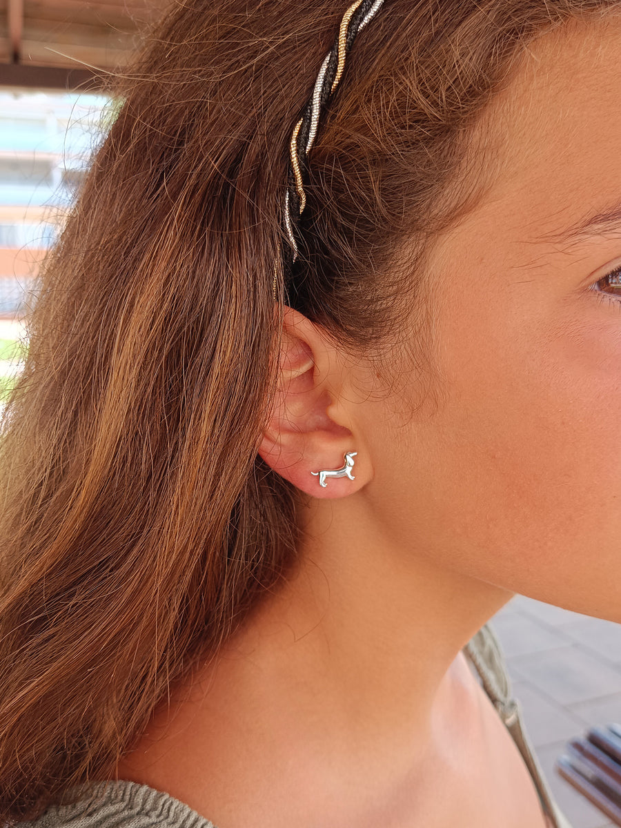Conjunto Teckel