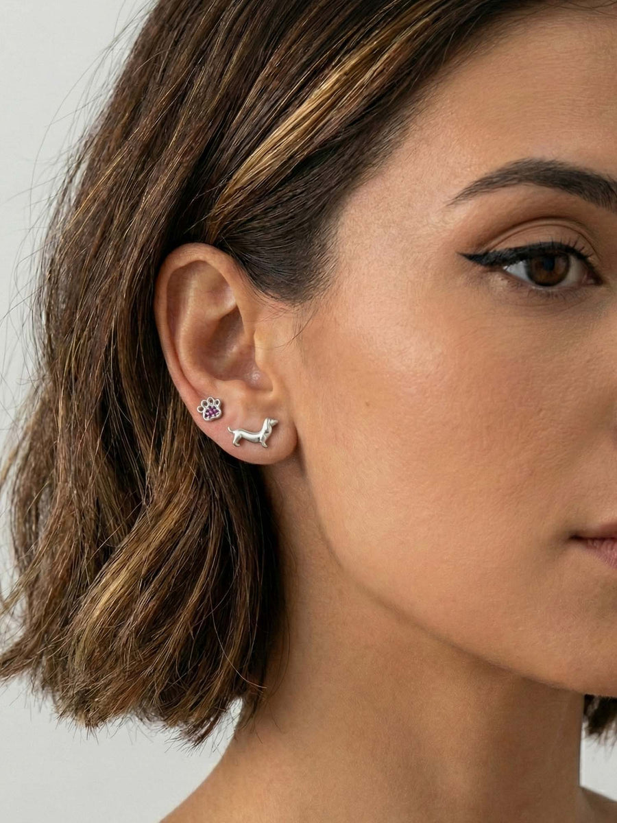 Pendientes Pawsy