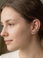 Pendientes trepadores Roses