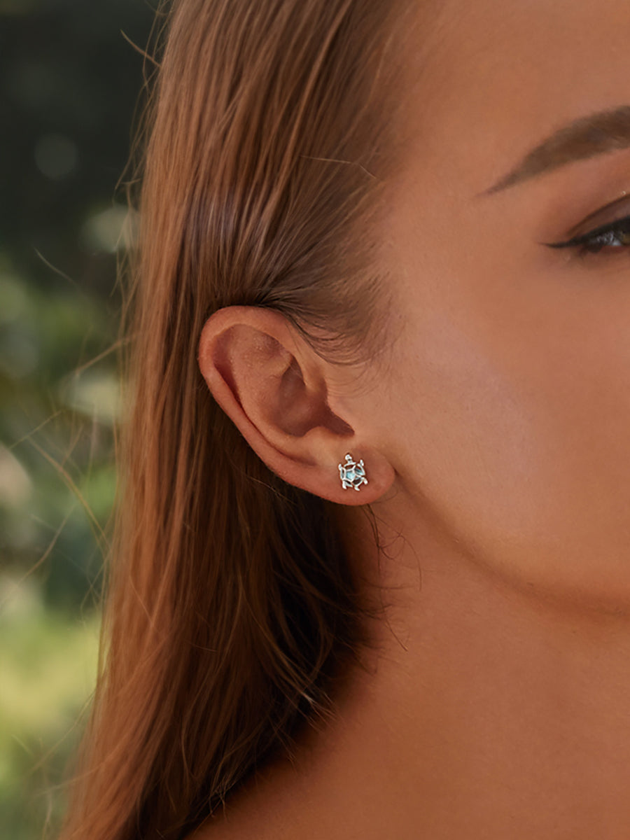 Pendientes tortuguitas de mar