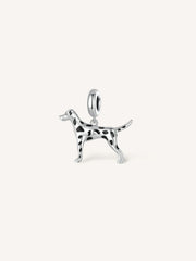 Charm Dalmatian