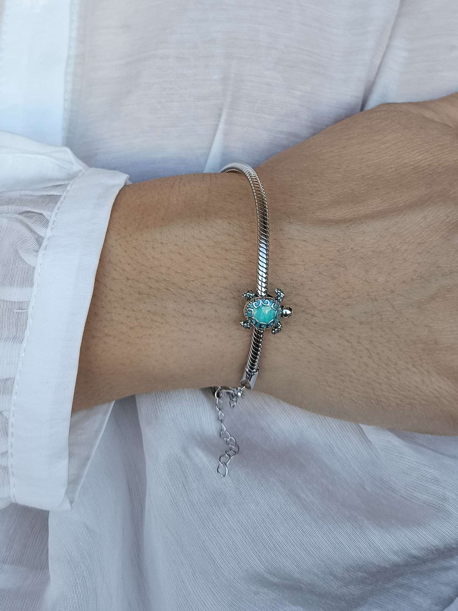 Charm Turtle