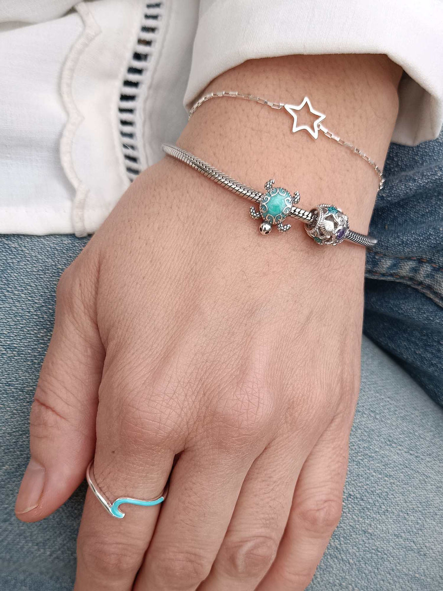 Charm Turtle