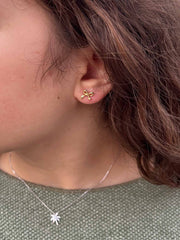 Pendientes Noa
